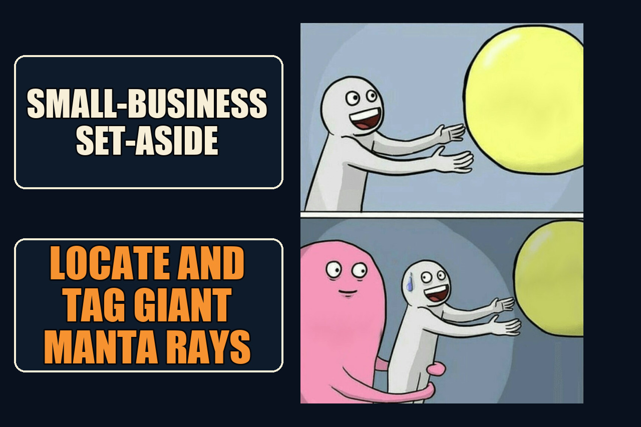 Running Away Balloon two-panel comic with the setup Small-business set-aside and the payoff Locate and tag giant manta rays.