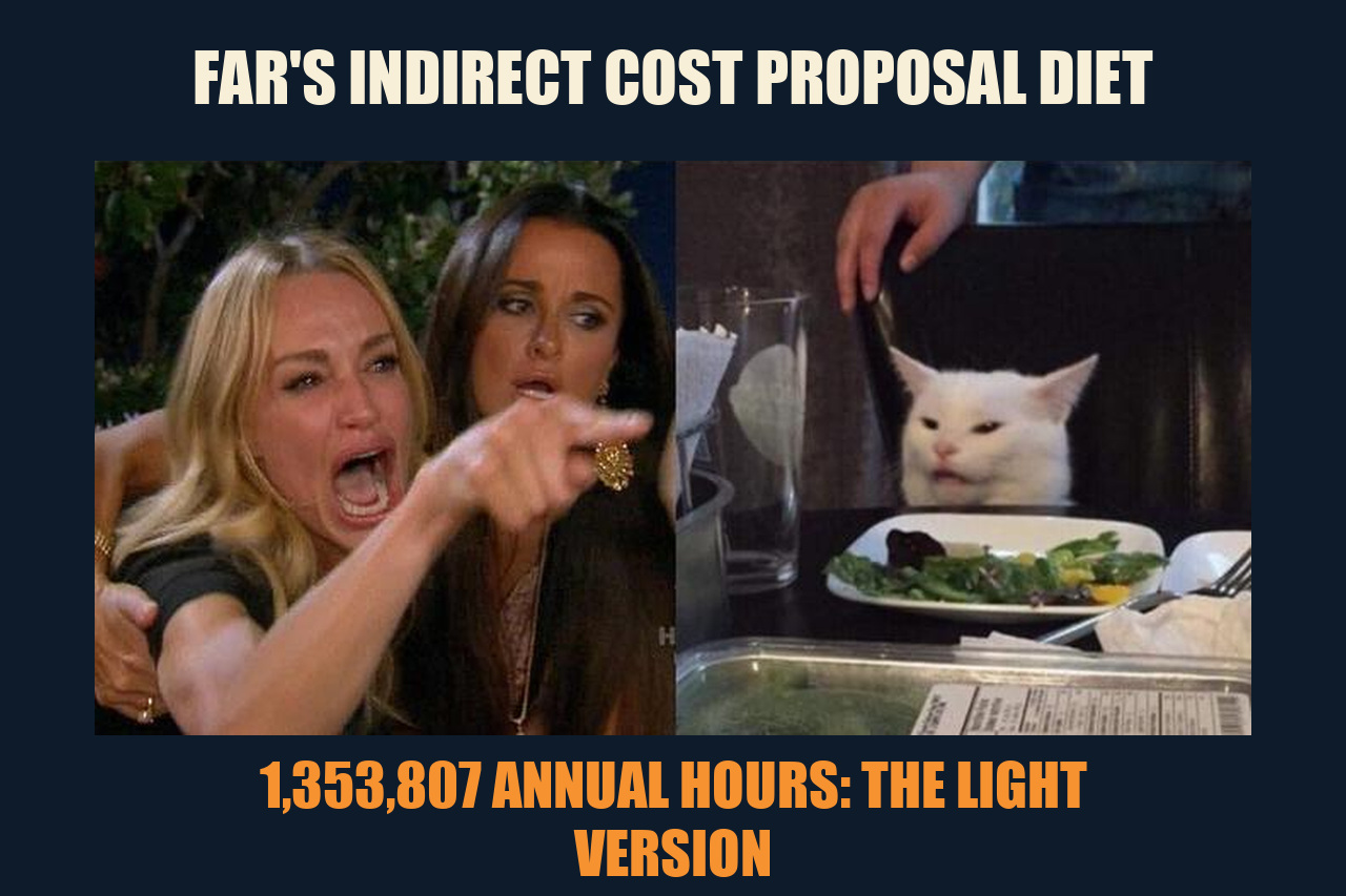 Woman Yelling at a Cat meme: FAR'S INDIRECT COST PROPOSAL DIET / 1,353,807 ANNUAL HOURS: THE LIGHT VERSION