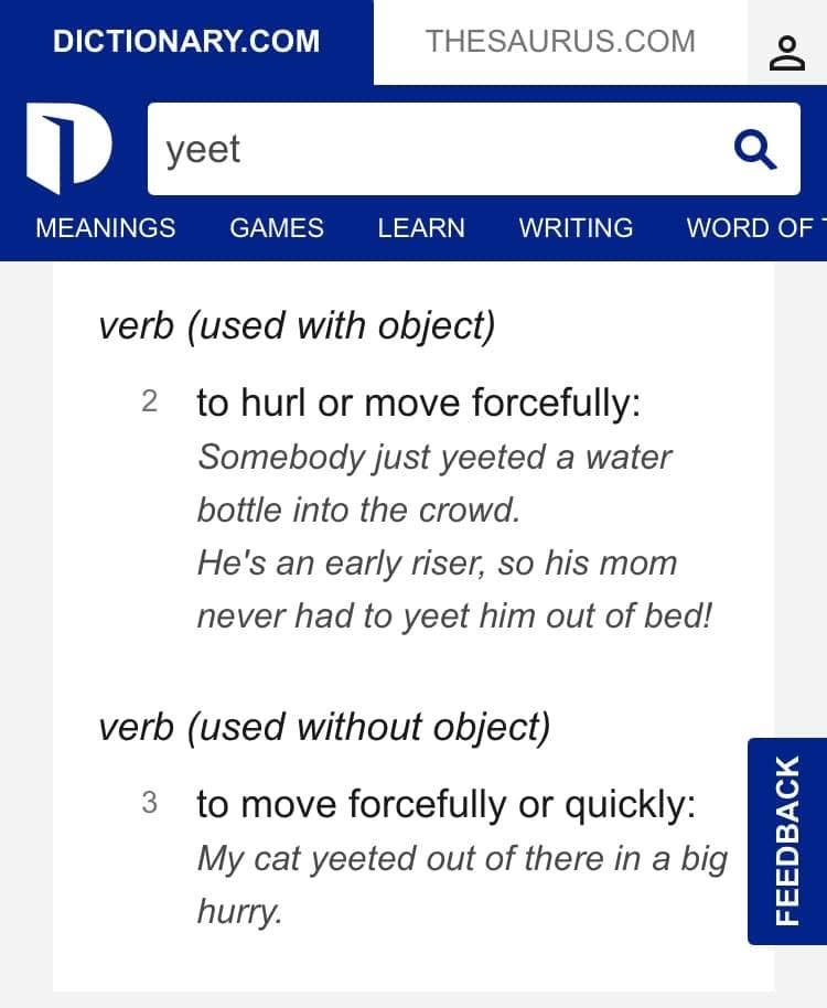 Comment attachment by Dan Cary: A Facebook-served screenshot of a Dictionary.com entry for yeet, describing forceful or quick motion.